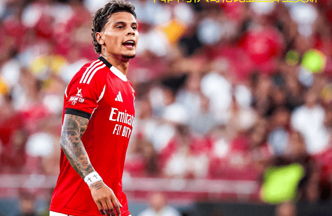 半岛体育官网-本菲卡赛程赛果